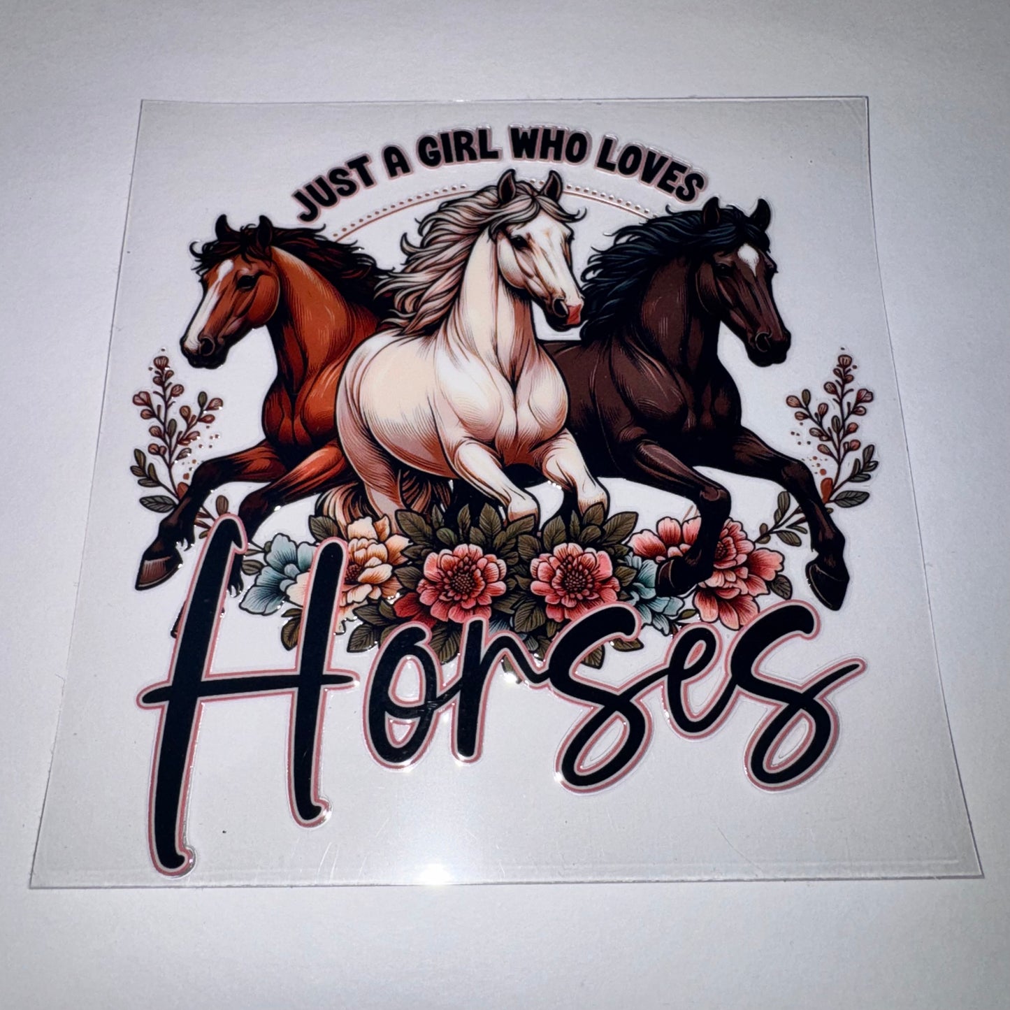 #775 - Girl Who Loves Horses