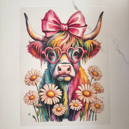 Highland Cow & Daisies