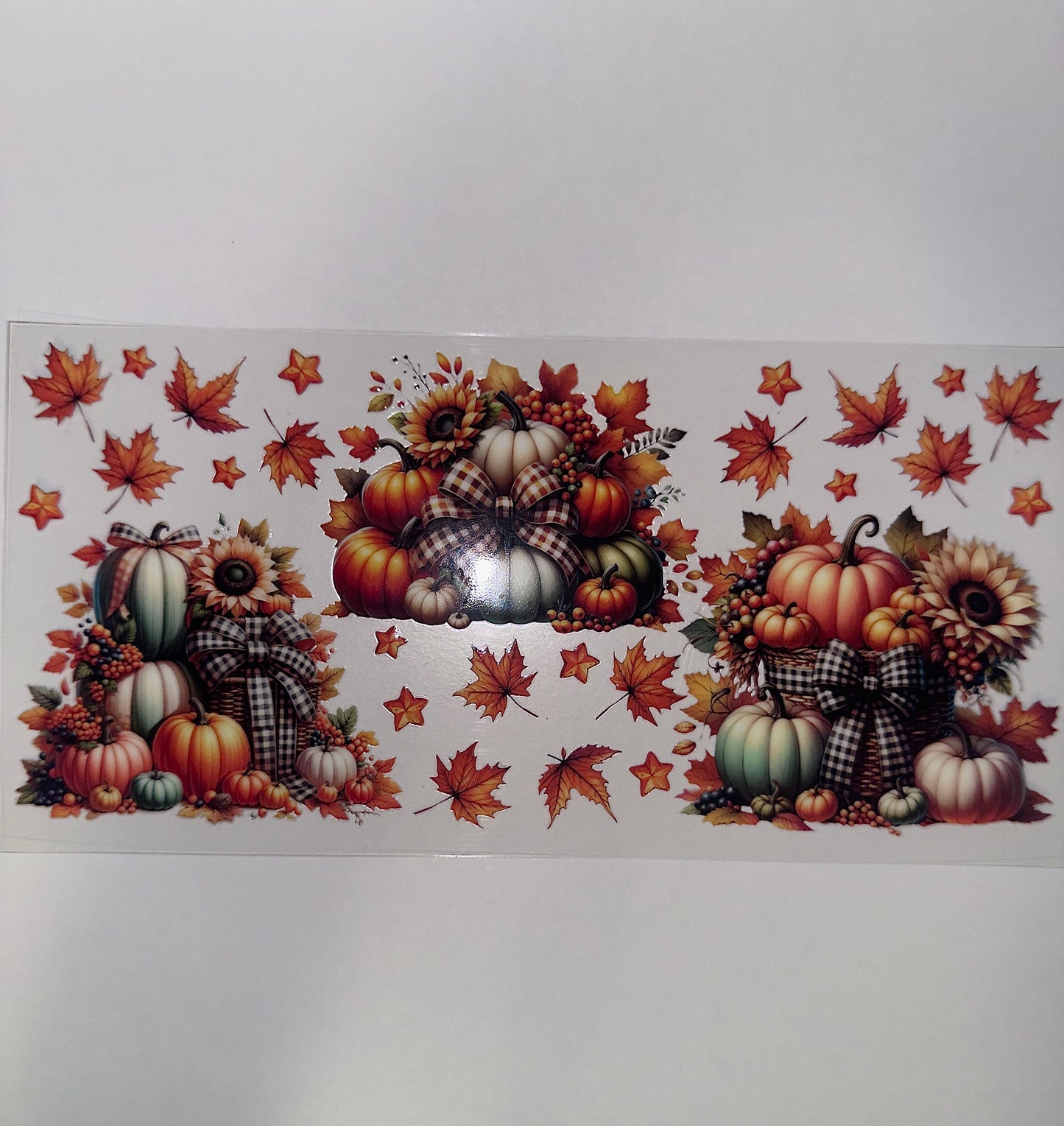 #455 - Pumpkins & Leaves