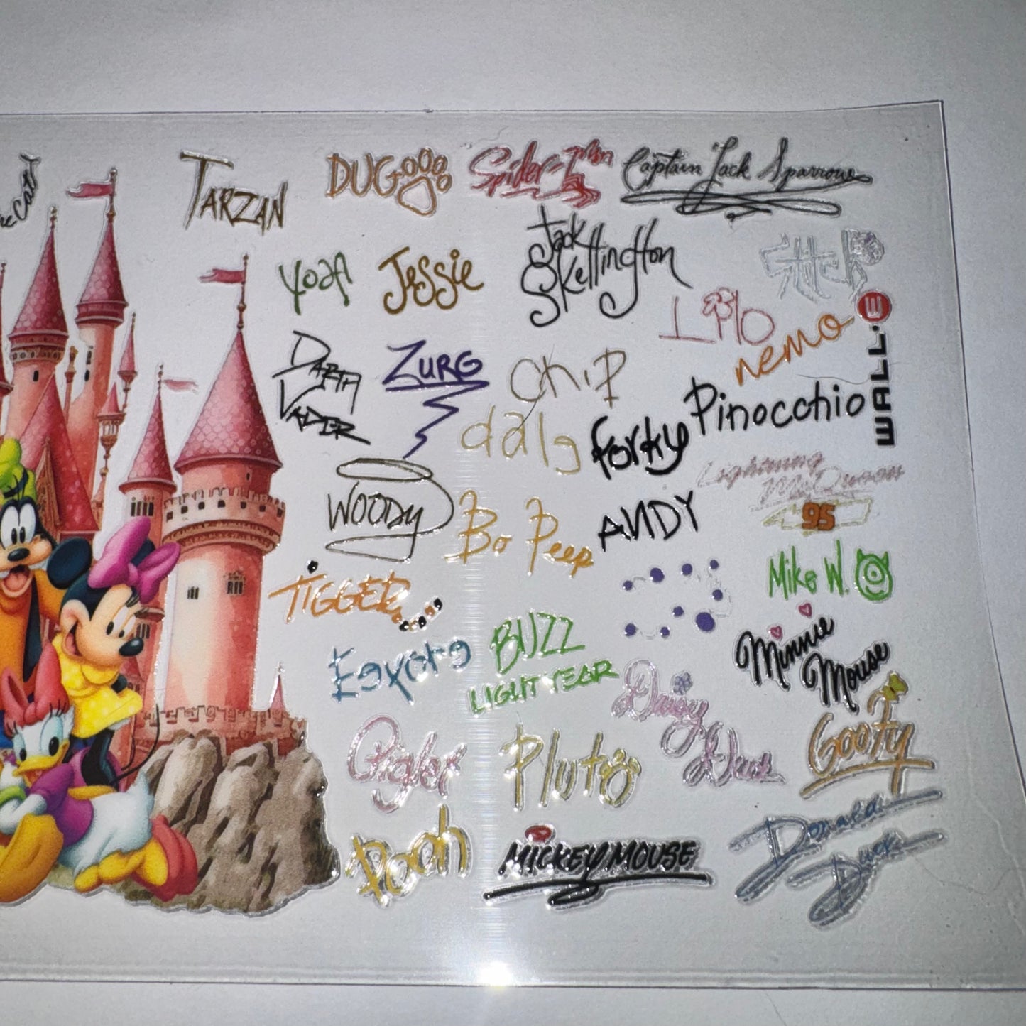#767 -Disney Castle Autographs