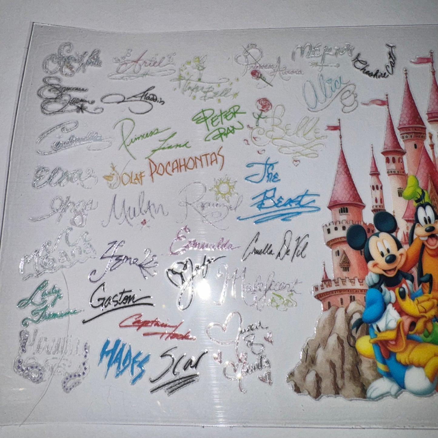 #767 -Disney Castle Autographs