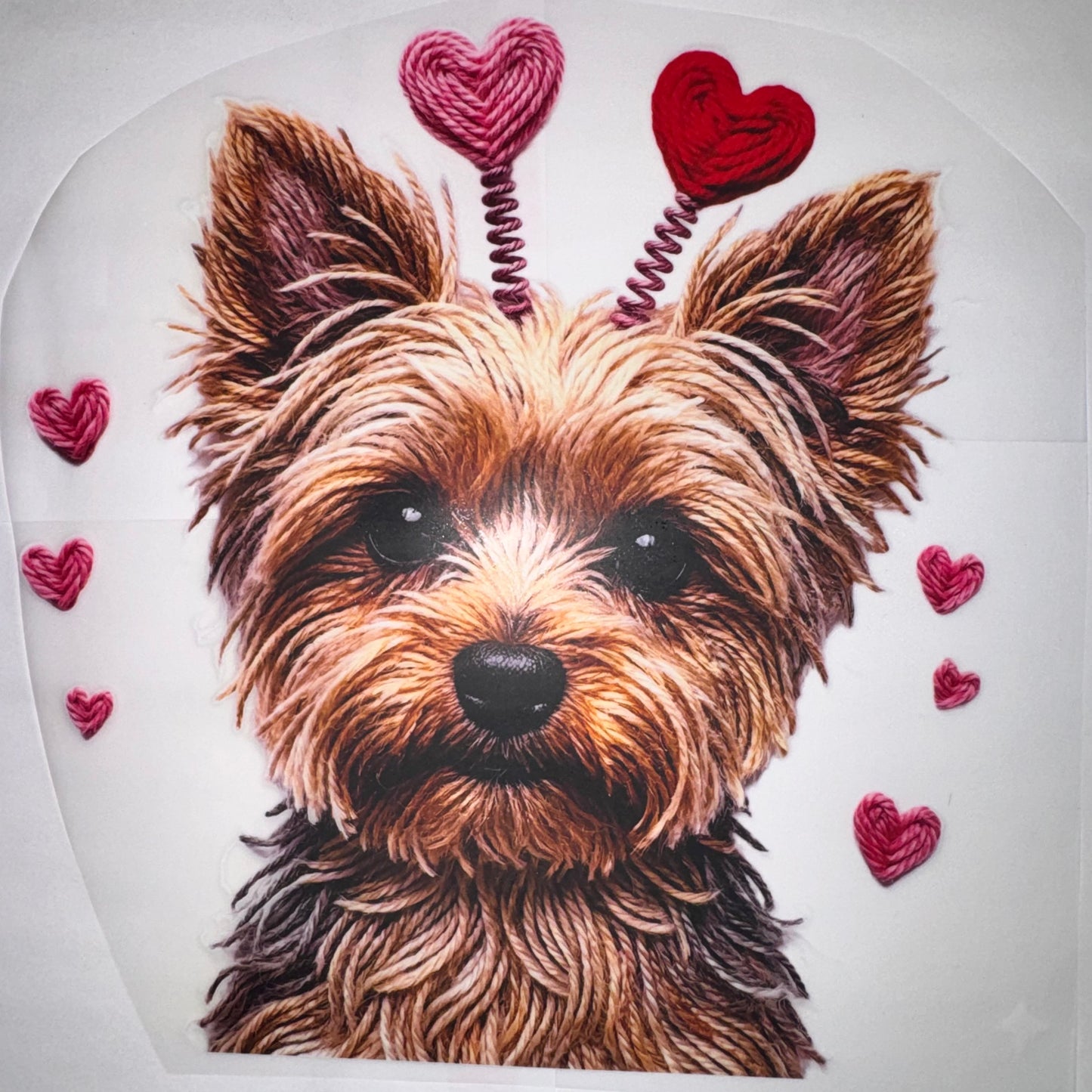 Yorkie