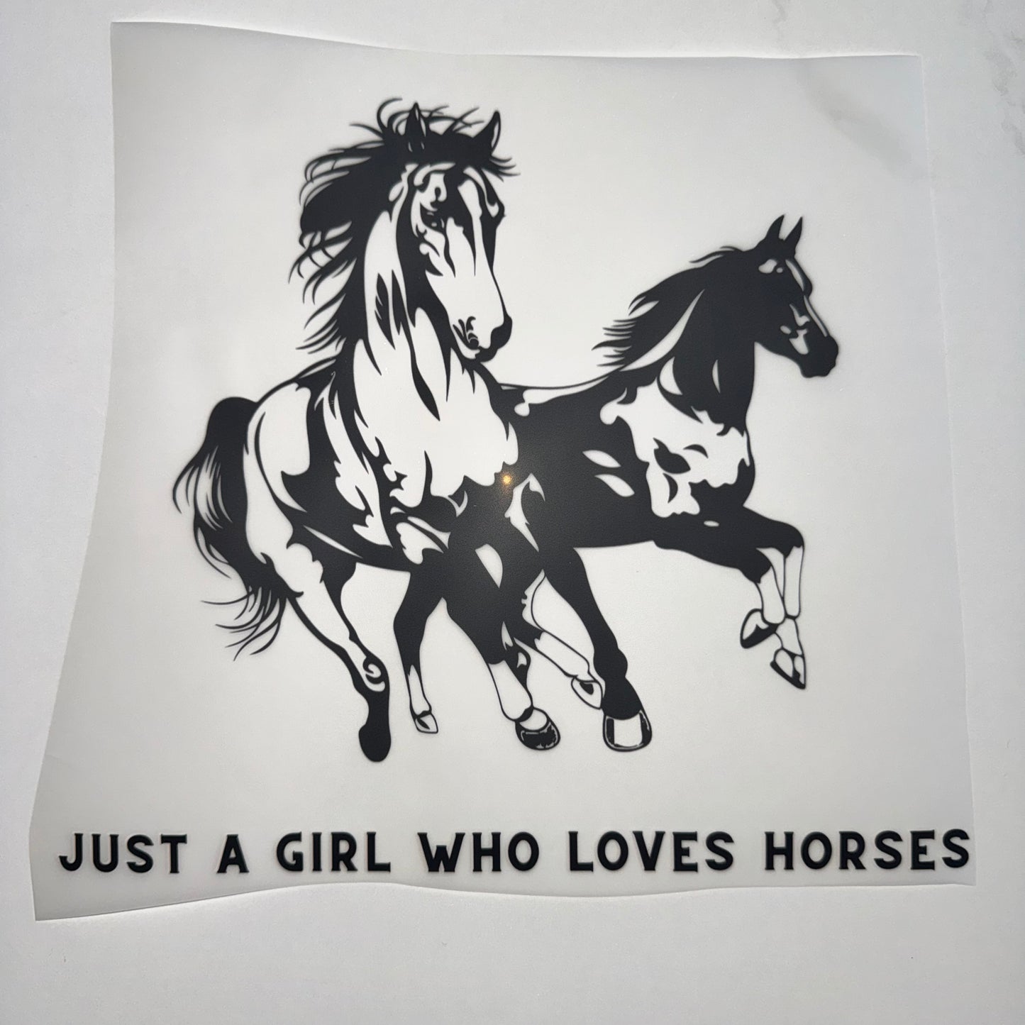 Just A Girl Who Loves Horses